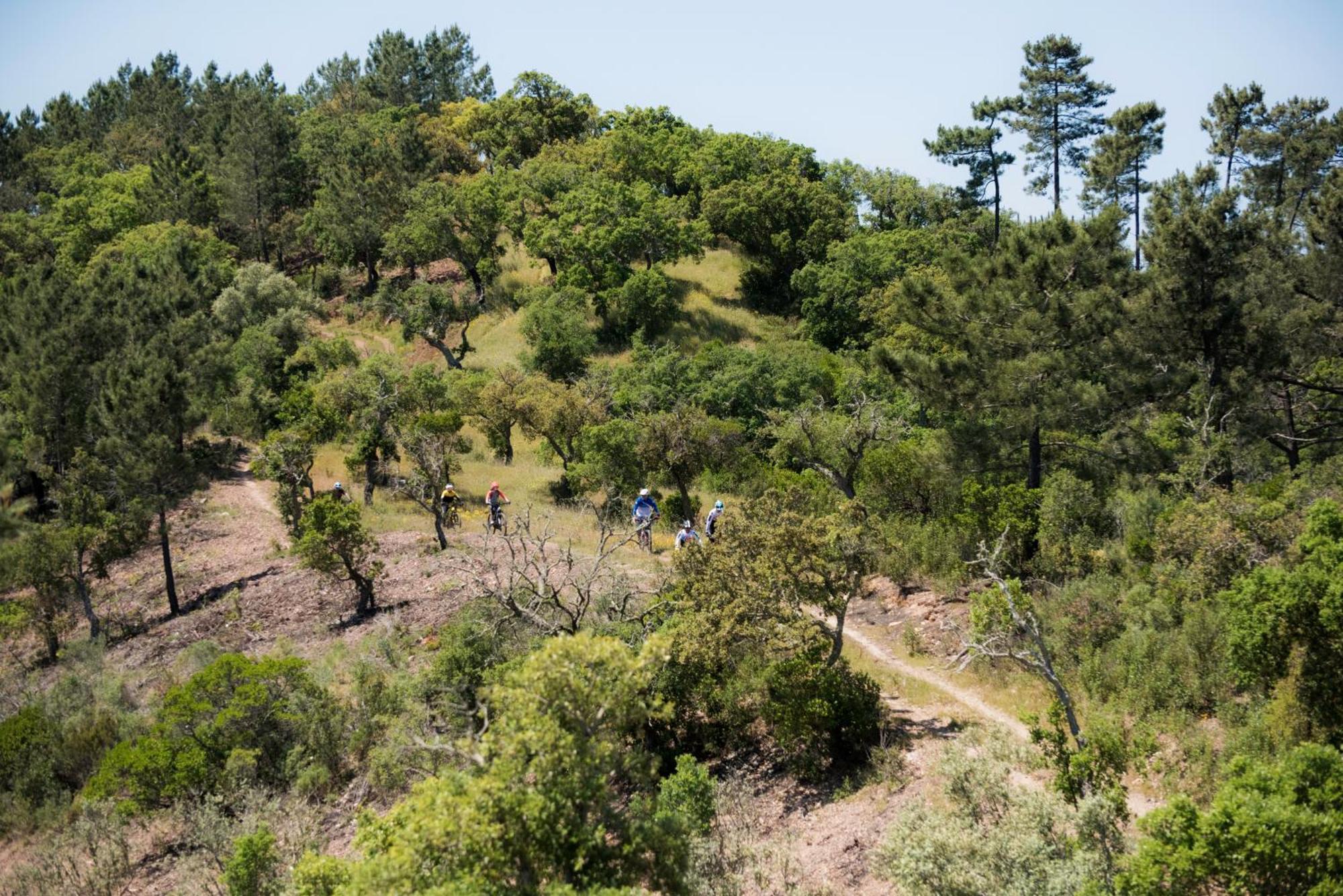 Herdade Das Barradas Da Serra Grandola Exterior photo