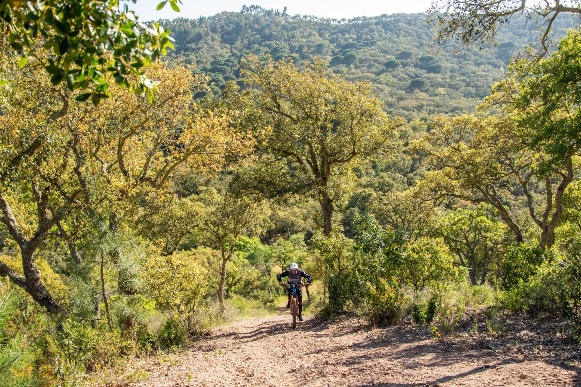 Herdade Das Barradas Da Serra Grandola Exterior photo
