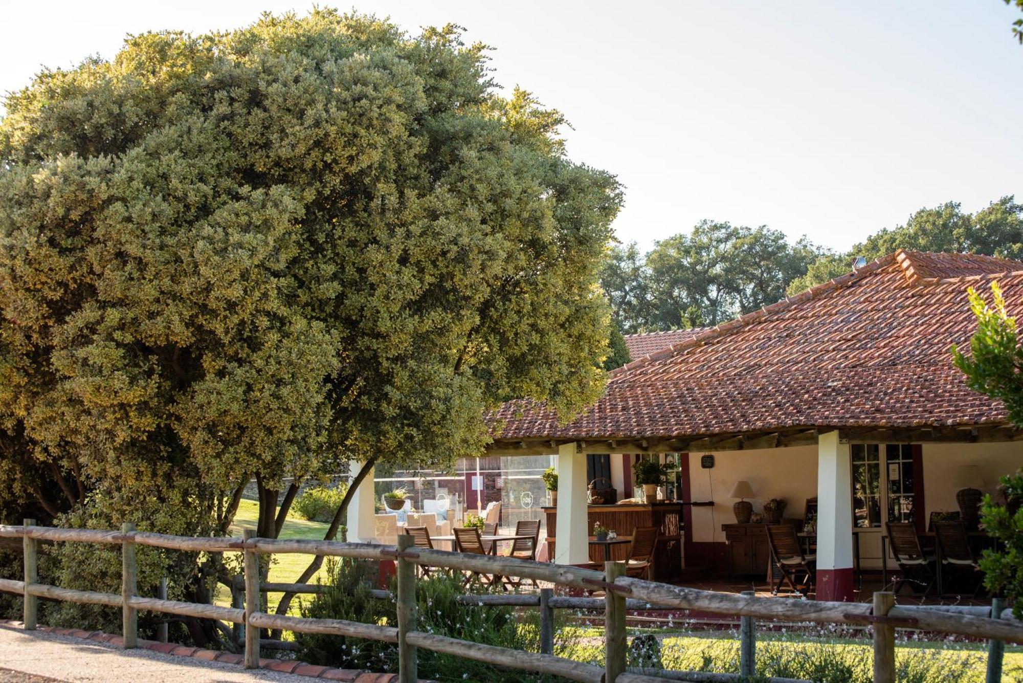 Herdade Das Barradas Da Serra Grandola Exterior photo
