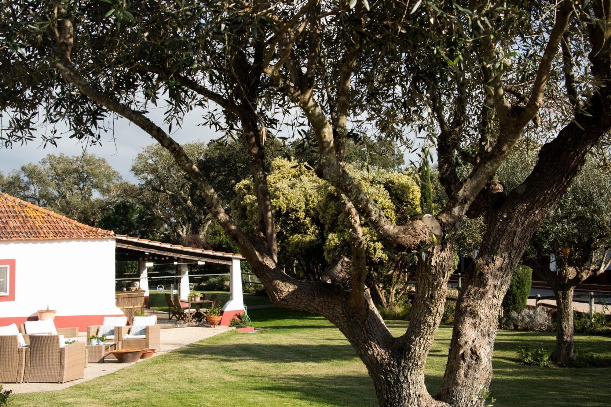 Herdade Das Barradas Da Serra Grandola Exterior photo
